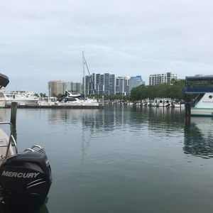 Meet your Posher, Bill